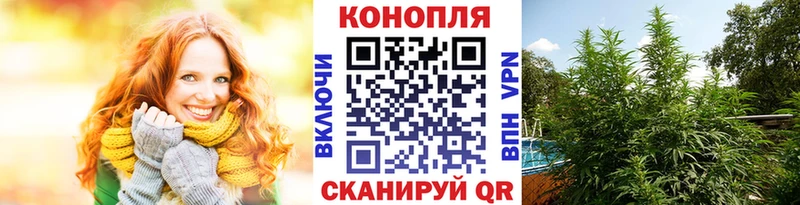 Хочу наркоту Куртамыш Бошки Шишки МЕТАДОН Мефедрон АМФ Cocaine KRAKEN онион СОЛЬ