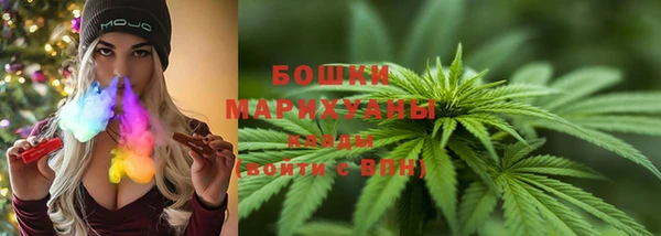 не бодяженный Новозыбков