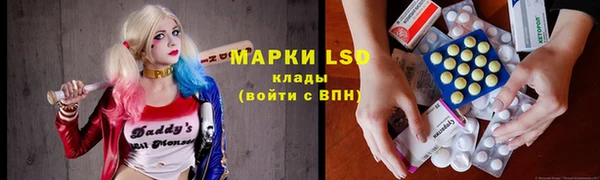не бодяженный Новозыбков