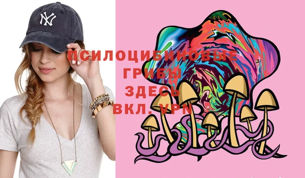 соль курить ск Новодвинск