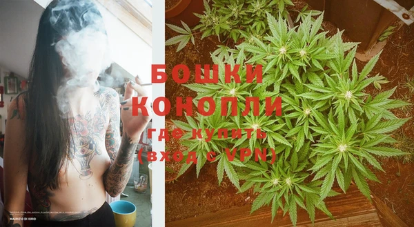 индика Нефтекумск