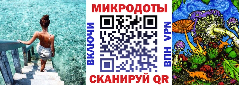 где найти наркотики Куртамыш мега вход Псилоцибиновые грибы Psilocybine cubensis